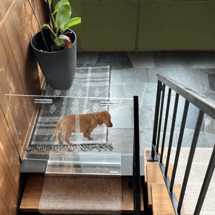 Hiddin Clear Acrylic Panel Pet Gate – Freestanding, 30 in High