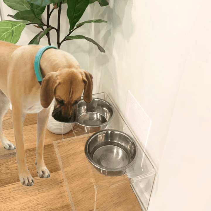 Hiddin Clear Acrylic Feeder Overflow Tray