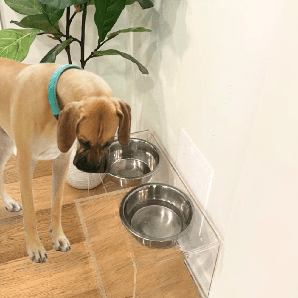 Hiddin Clear Acrylic Double Feeder with Silver Bowls – 12 in High