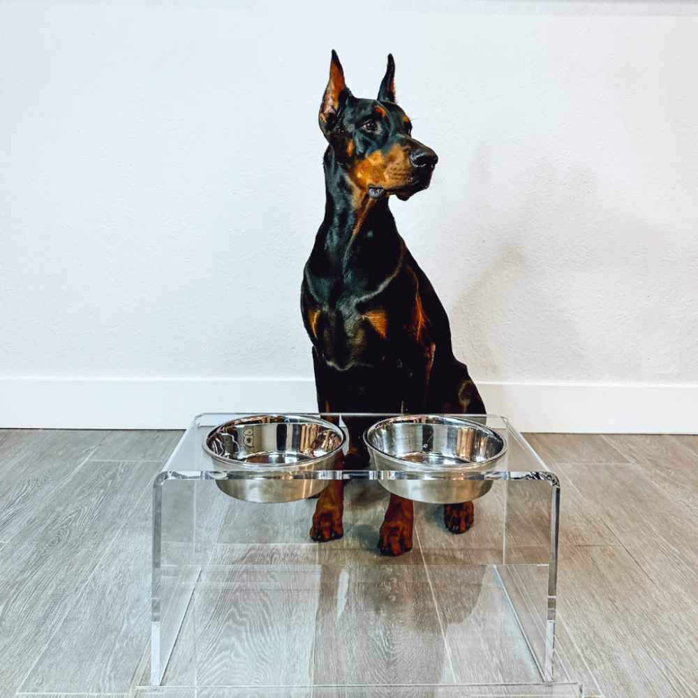 Hiddin Clear Acrylic Double Feeder with Silver Bowls – 12 in High