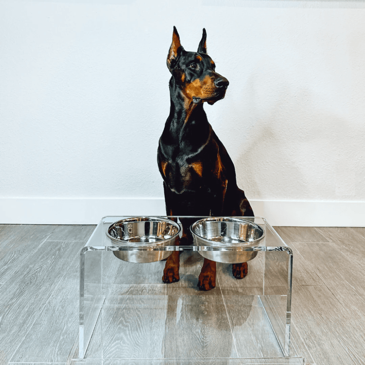 Hiddin Clear Acrylic Double Feeder with Silver Bowls – 12 in High