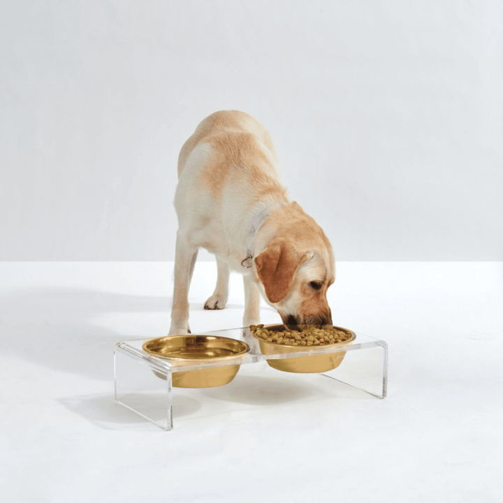 Hiddin Clear Acrylic Double Feeder with Gold Bowls – 3 in High