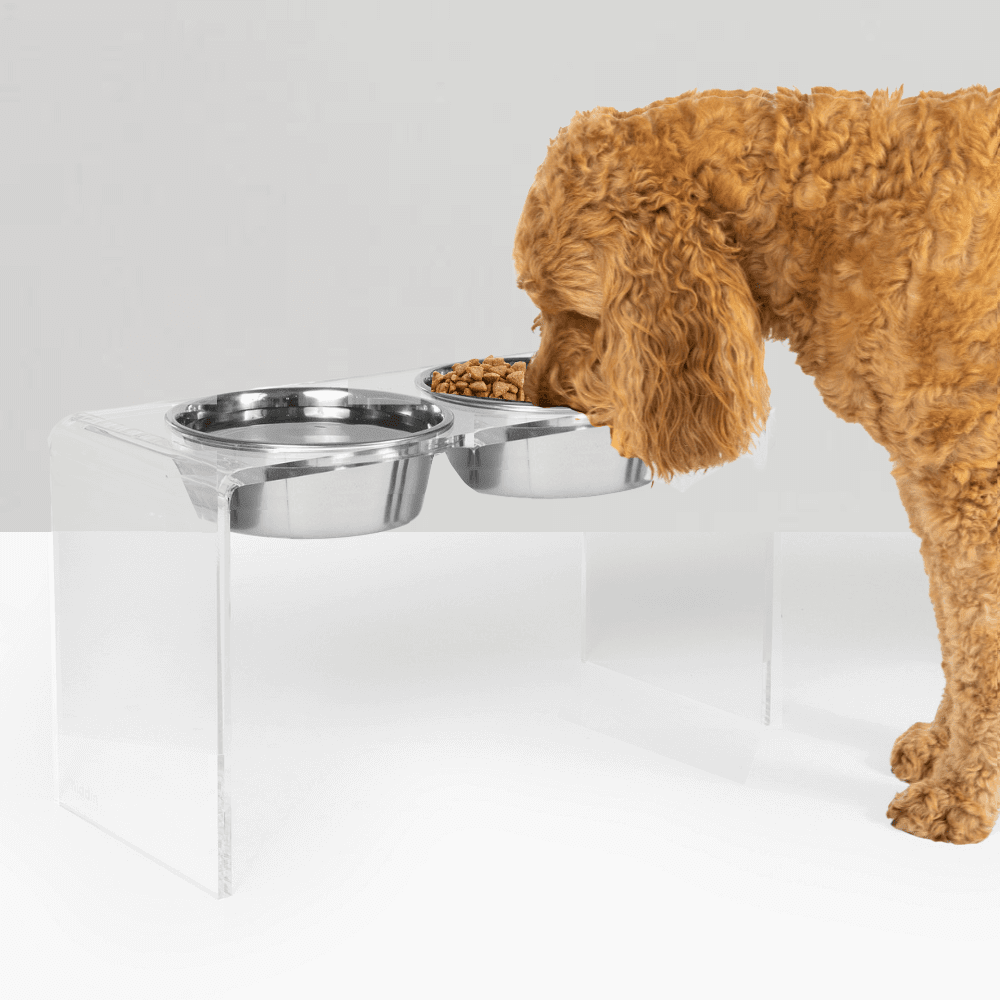 Hiddin Clear Acrylic Double Feeder with Silver Bowls – 12 in High