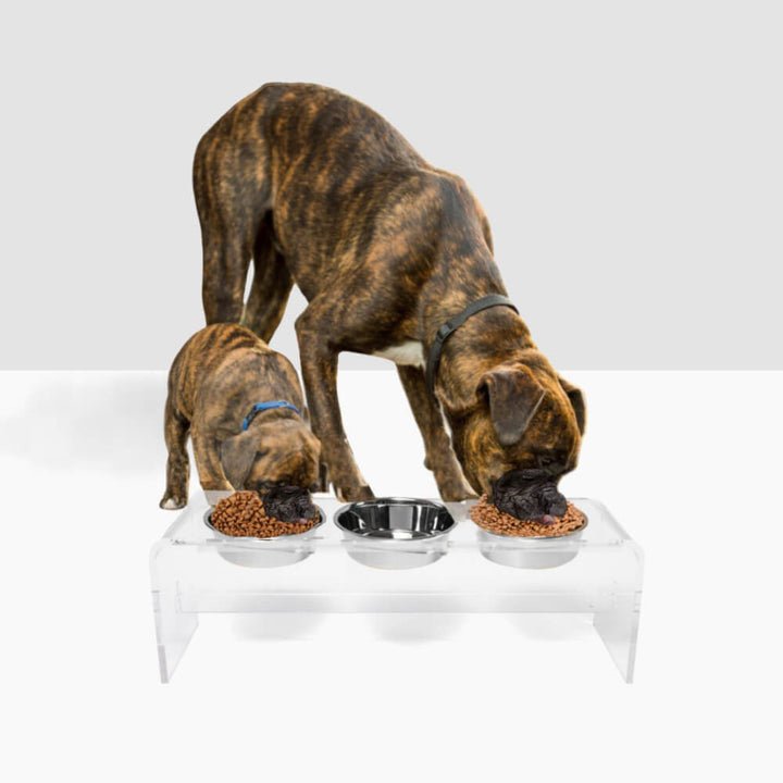 Hiddin Clear Acrylic Triple Feeder with Silver Bowls – 12 in High