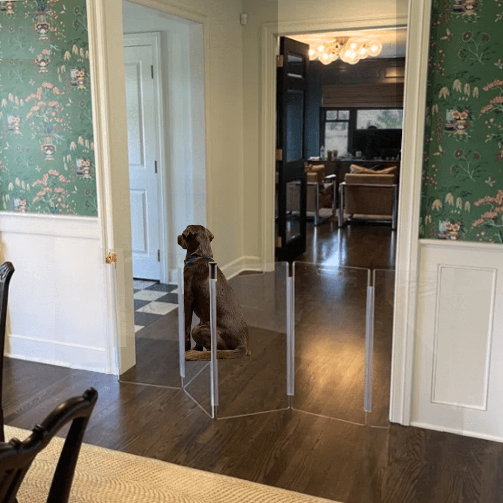 Hiddin Clear Acrylic Wall-Mounted Zig Zag Pet Gate – 30 in High