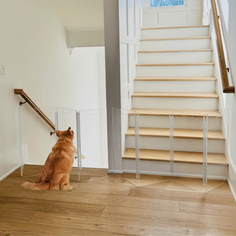Hiddin Tall Clear Acrylic Zig Zag Pet Gate – Freestanding