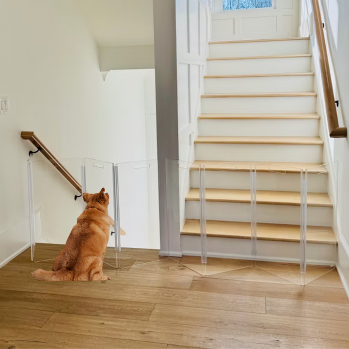 Hiddin Tall Clear Acrylic Zig Zag Pet Gate – Freestanding