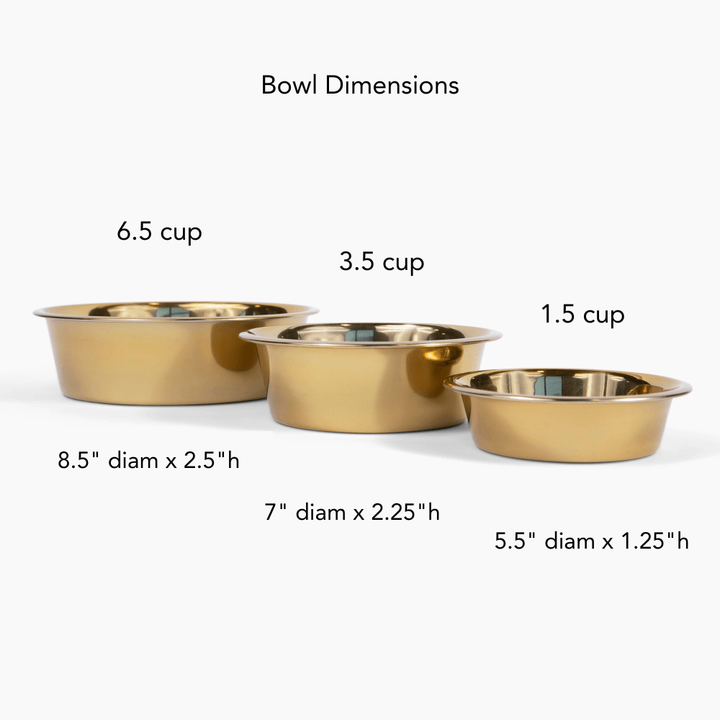 Hiddin Clear Acrylic Double Feeder with Gold Bowls – 3 in High