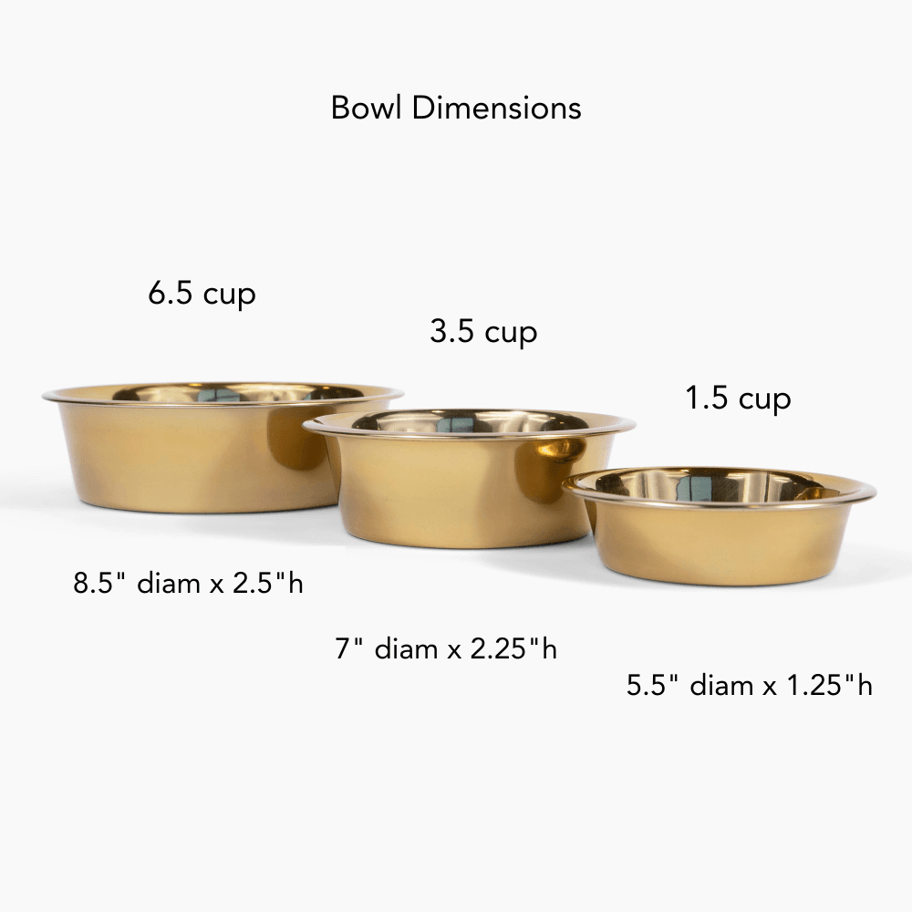 Hiddin Clear Acrylic Triple Feeder with Gold Bowls – 7 in High