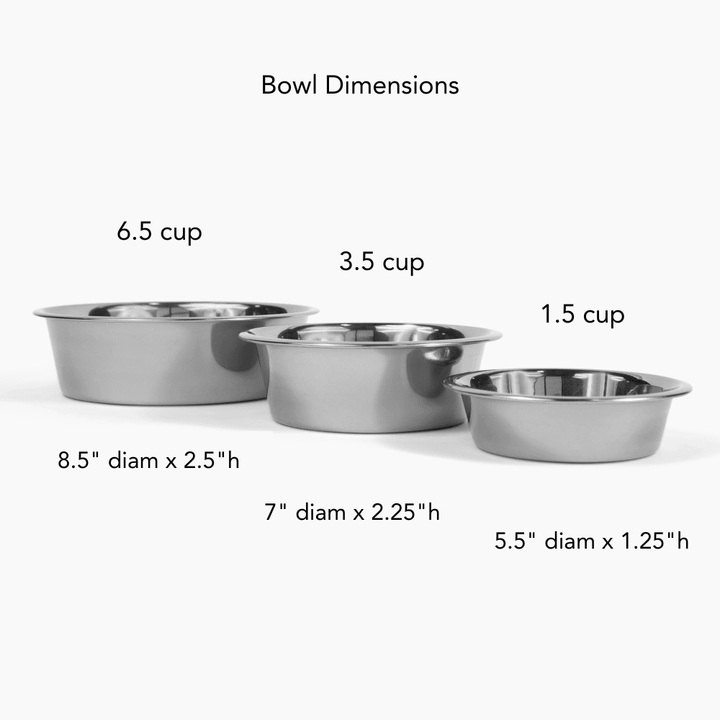 Hiddin Clear Acrylic Triple Feeder with Silver Bowls – 7 in High