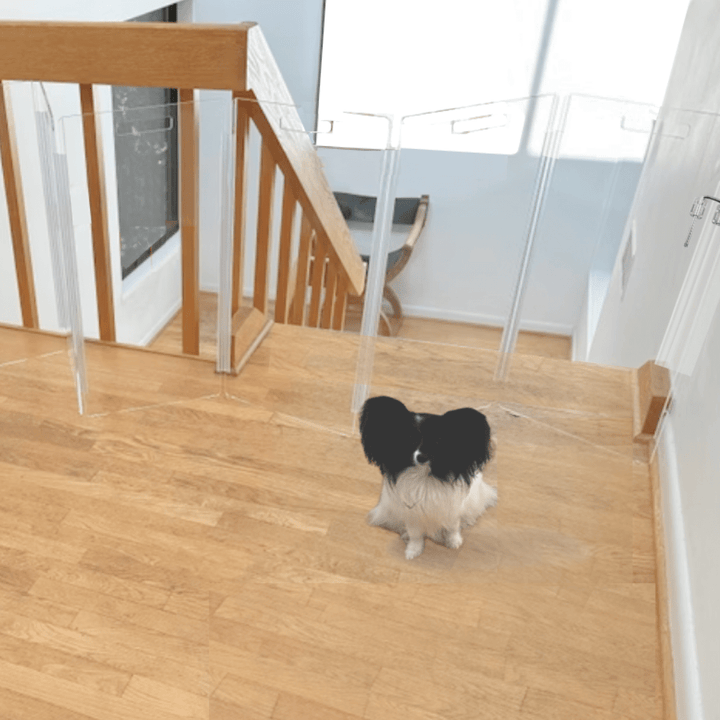 Hiddin Clear Acrylic Wall-Mounted Zig Zag Pet Gate – 24 in High