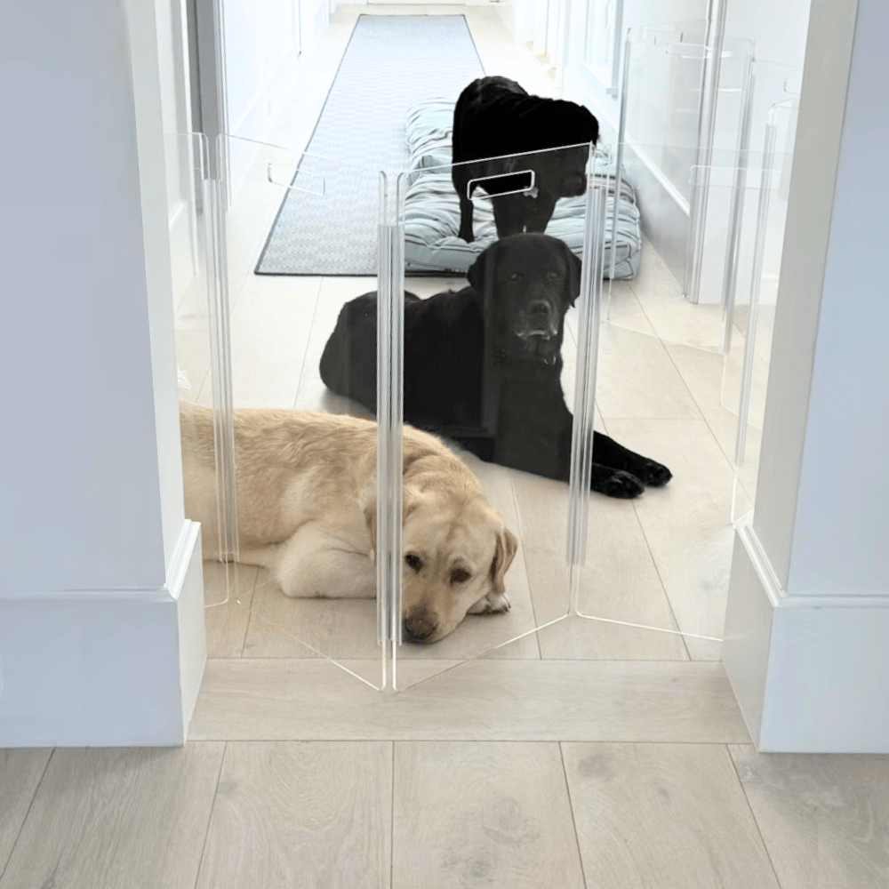 Hiddin Tall Clear Acrylic Zig Zag Pet Gate – Freestanding