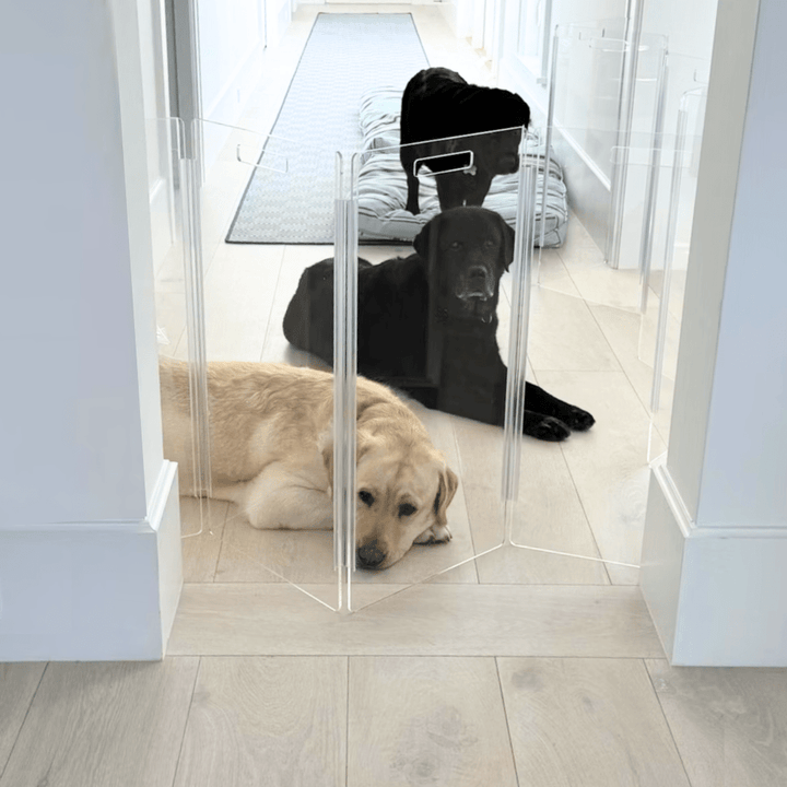Hiddin Tall Clear Acrylic Zig Zag Pet Gate – Freestanding