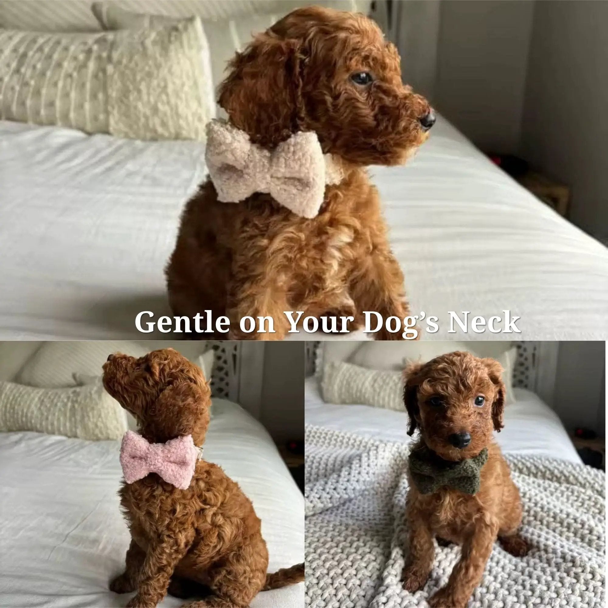 Teddy Purple Personalized No Pull Dog Harness Set With Matching Leash by DDPaws