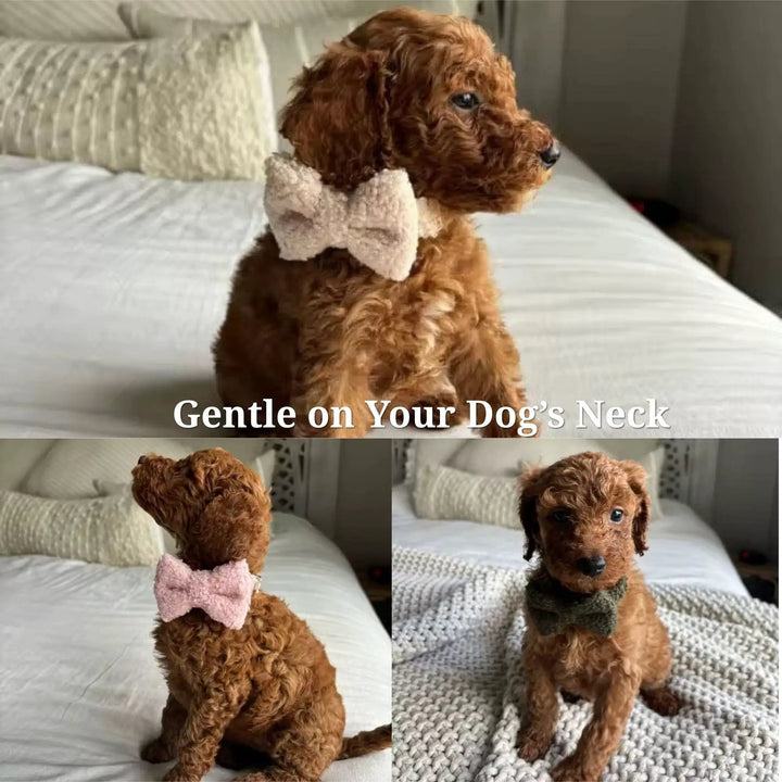 Teddy Purple Personalized No Pull Dog Harness Set With Matching Leash by DDPaws