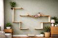 Charger l'image dans la visionneuse de la galerie, The Temple giant wall-mounted cat condo with wooden platforms and rope hammock; cat lounging.

