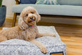 Gallery viewerに画像を読み込む, Lounger Pet Bed Over Stuffed With Recycled Fill In Sapphire by DC-The Houndry
