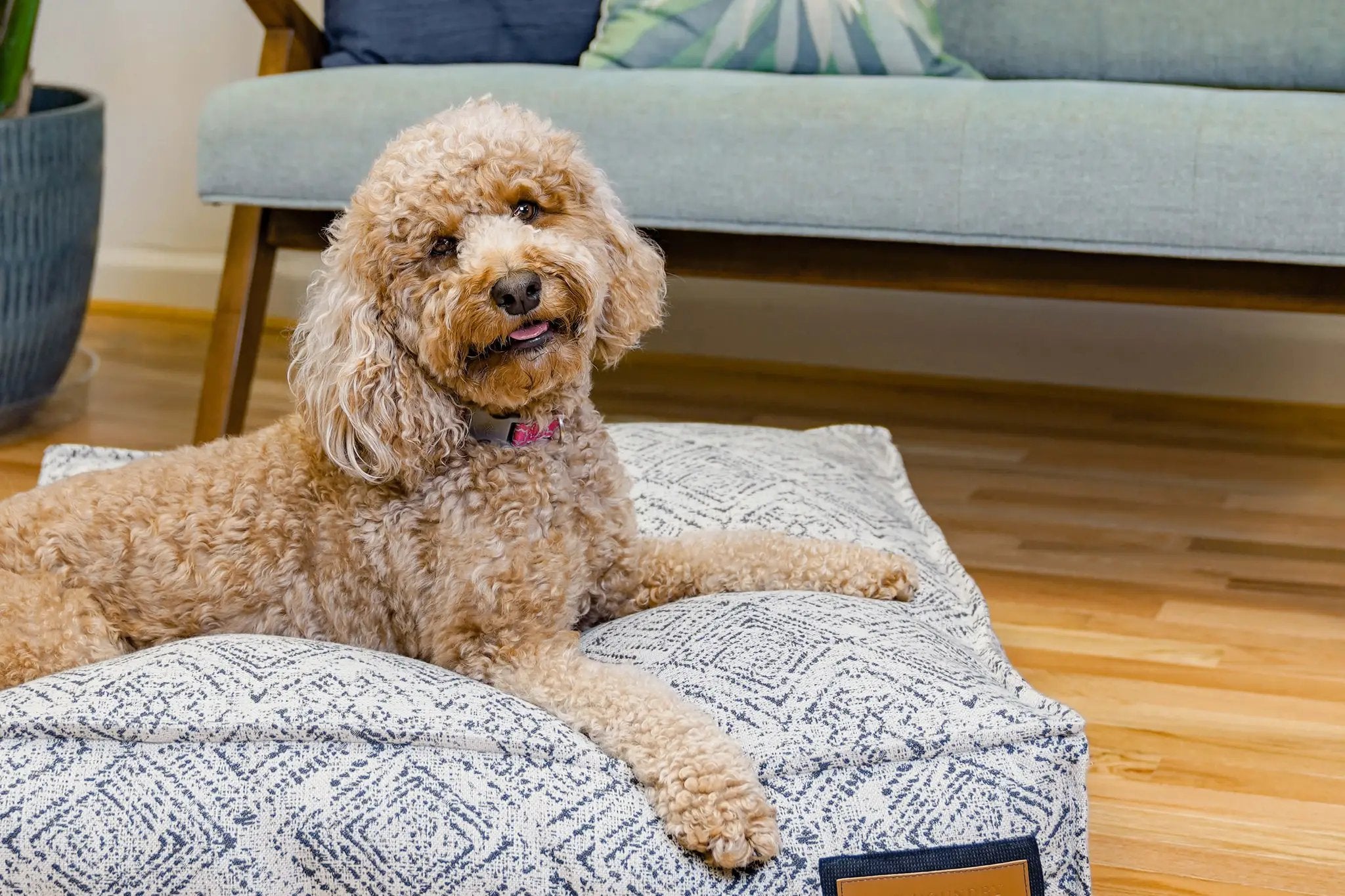 Lounger Pet Bed Over Stuffed With Recycled Fill In Sapphire by DC-The Houndry