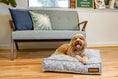 Gallery viewerに画像を読み込む, Lounger Pet Bed Over Stuffed With Recycled Fill In Sapphire by DC-The Houndry
