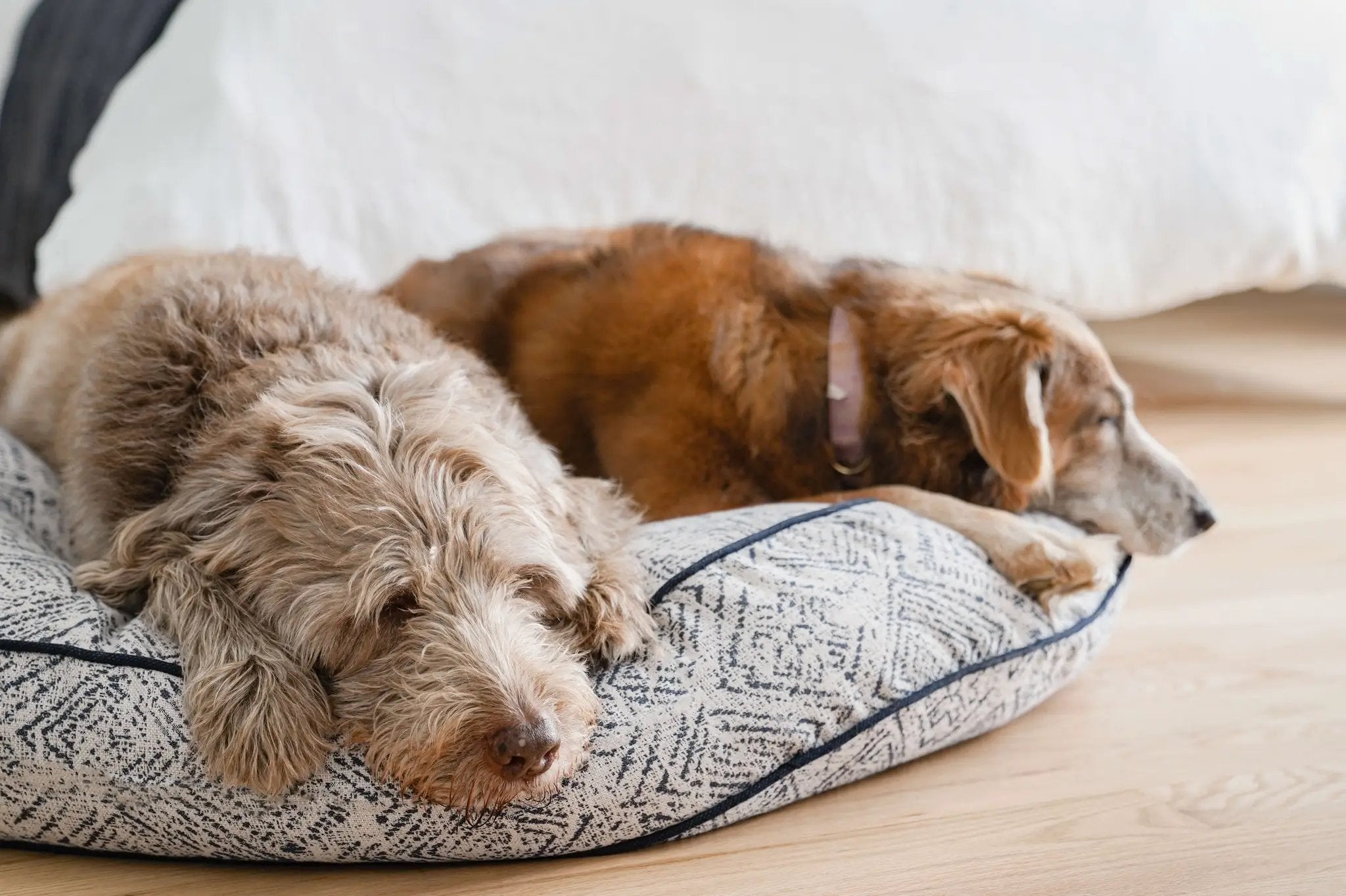 Round Pet Bed In Sapphire With Recycled Plastic Fill by DC-The Houndry