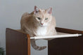 Charger l'image dans la visionneuse de la galerie, The Overlook bamboo cat tree condo with beige fabric hammock; lounging cat.
