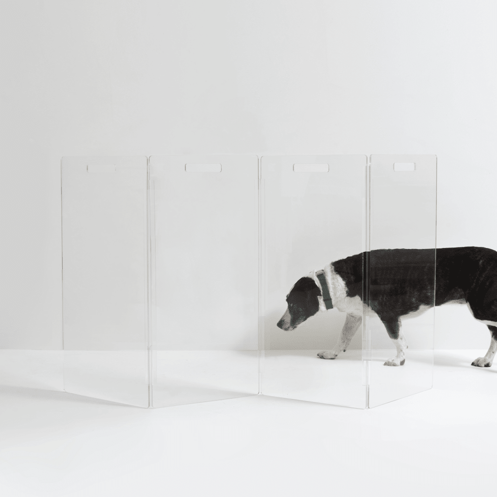 Hiddin Tall Clear Acrylic Zig Zag Pet Gate – Freestanding
