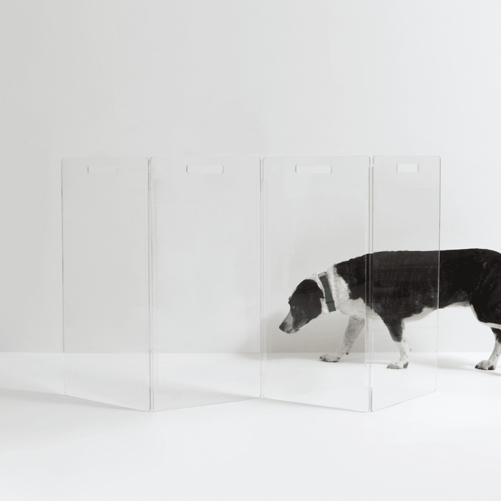 Hiddin Tall Clear Acrylic Zig Zag Pet Gate – Freestanding