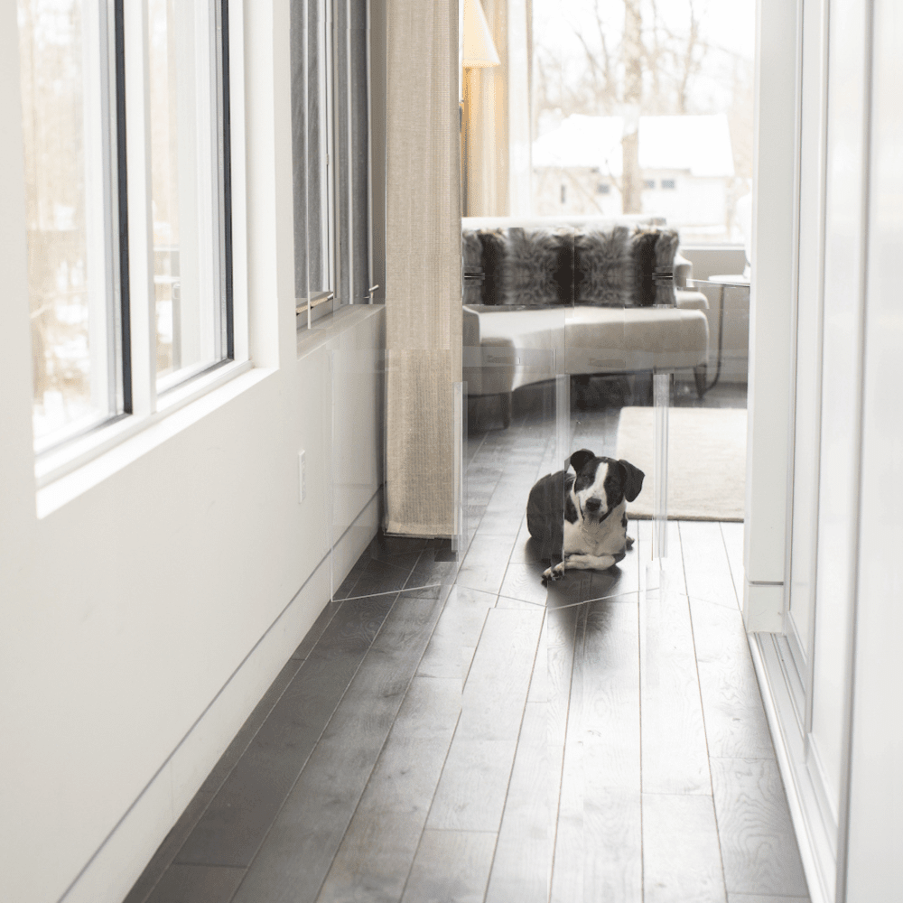 Hiddin Low Clear Acrylic Zig Zag Pet Gate – Freestanding, 24 in High