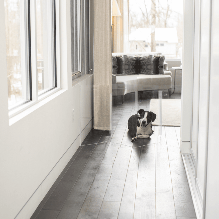 Hiddin Low Clear Acrylic Zig Zag Pet Gate – Freestanding, 24 in High