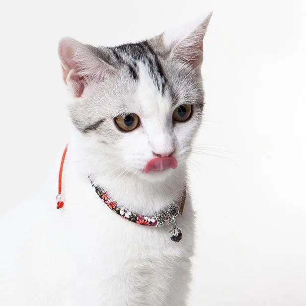 Touchcat Lucky Charms Designer Cable Cat Collar Necklace With Charm by Pet Life
