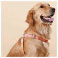 Load image into Gallery viewer, Touchdog ® 'Macaron' 2-in-1 Durable Nylon Dog Harness and Leash by Pet Life
