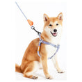 Load image into Gallery viewer, Touchdog ® 'Macaron' 2-in-1 Durable Nylon Dog Harness and Leash by Pet Life
