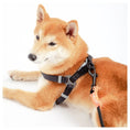 Load image into Gallery viewer, Touchdog ® 'Macaron' 2-in-1 Durable Nylon Dog Harness and Leash by Pet Life
