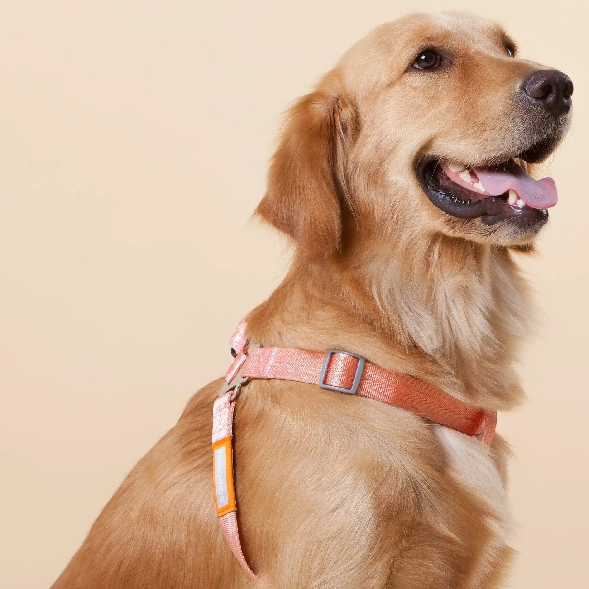Touchdog ® 'Macaron' 2-in-1 Durable Nylon Dog Harness and Leash by Pet Life