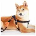 Load image into Gallery viewer, Touchdog ® 'Macaron' 2-in-1 Durable Nylon Dog Harness and Leash by Pet Life
