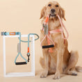 Load image into Gallery viewer, Touchdog ® 'Macaron' 2-in-1 Durable Nylon Dog Harness and Leash by Pet Life
