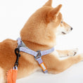 Load image into Gallery viewer, Touchdog ® 'Macaron' 2-in-1 Durable Nylon Dog Harness and Leash by Pet Life
