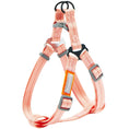 Load image into Gallery viewer, Touchdog ® 'Macaron' 2-in-1 Durable Nylon Dog Harness and Leash by Pet Life
