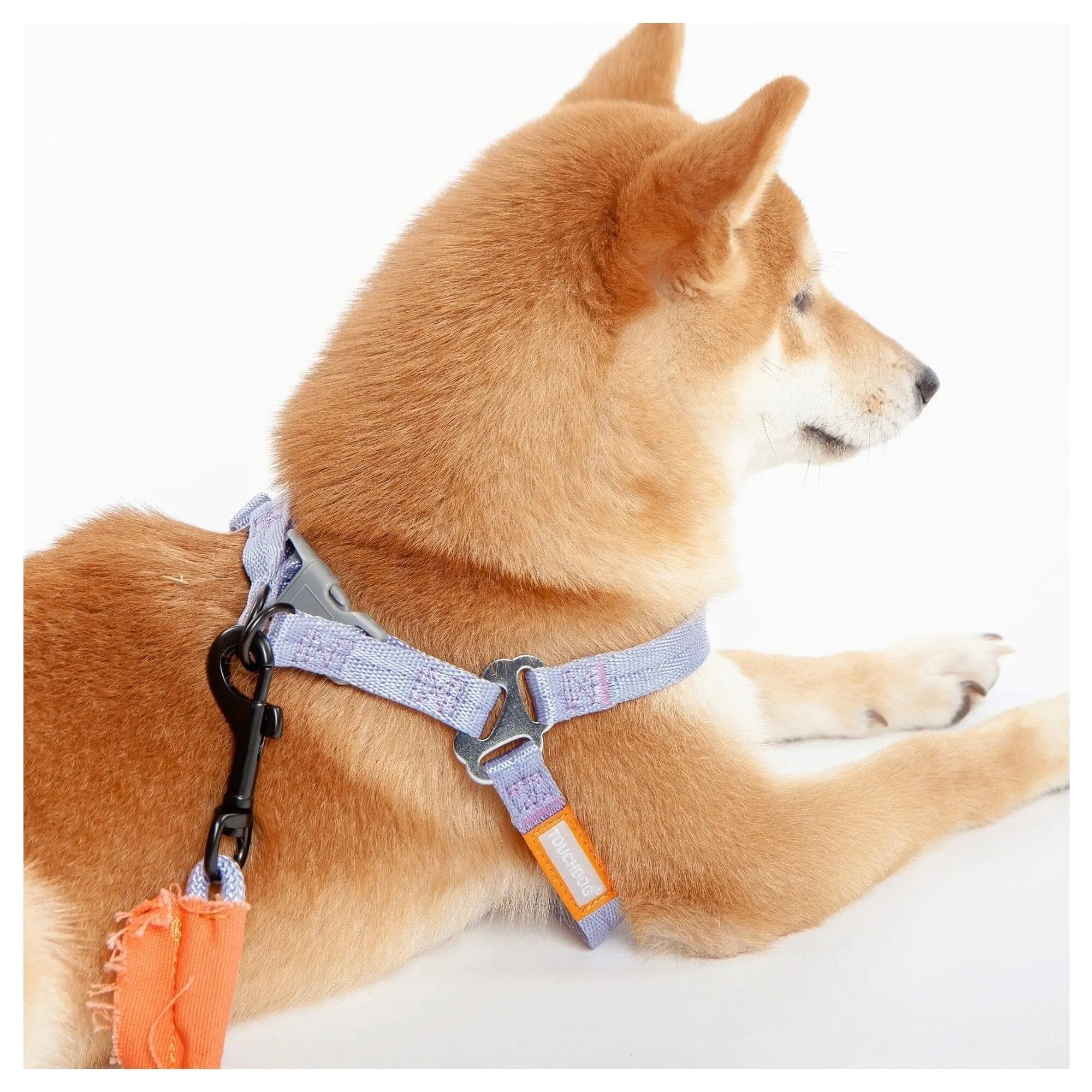 Touchdog ® 'Macaron' 2-in-1 Durable Nylon Dog Harness and Leash by Pet Life