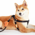 Load image into Gallery viewer, Touchdog ® 'Macaron' 2-in-1 Durable Nylon Dog Harness and Leash by Pet Life
