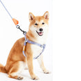 Load image into Gallery viewer, Touchdog ® 'Macaron' 2-in-1 Durable Nylon Dog Harness and Leash by Pet Life
