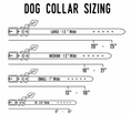 Cargar la imagen en la vista de la galería, Leather dog collar by For Animals, With Love; sizing guide showing Large, Medium, Small and XS options.
