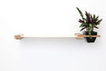 Load image into Gallery viewer, Cat Hammock Wall with Planter by Catastrophic Creations; white beam with natural wood ends and black planter.
