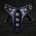 Carica l'immagine nel visualizzatore della galleria, 'Bijou'' harness Black & Blue for big dogs - Pet Collars & Harnesses from Bestia Dog Gear
