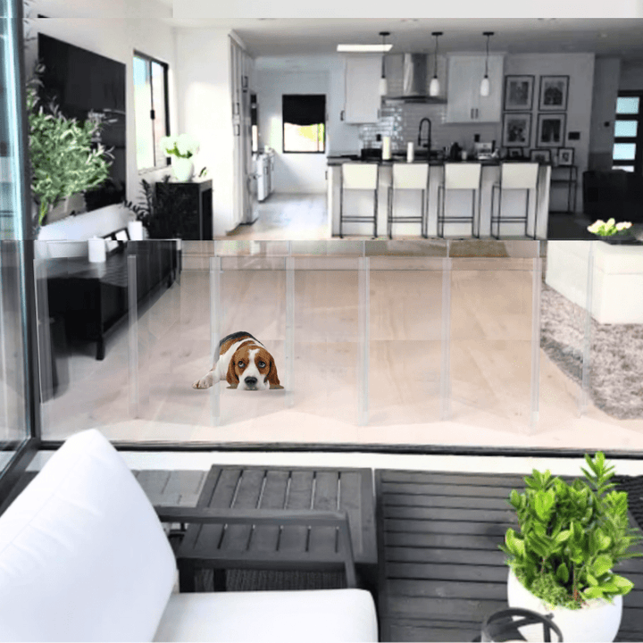 Hiddin Low Clear Acrylic Zig Zag Pet Gate – Freestanding, 24 in High
