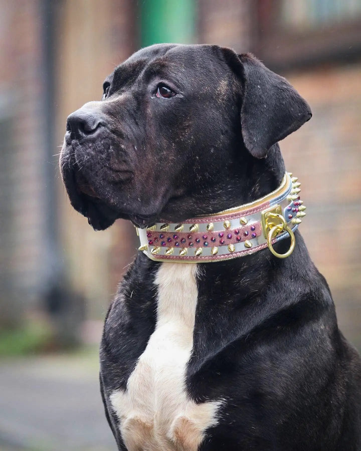 Bestia Candy white leather dog collar