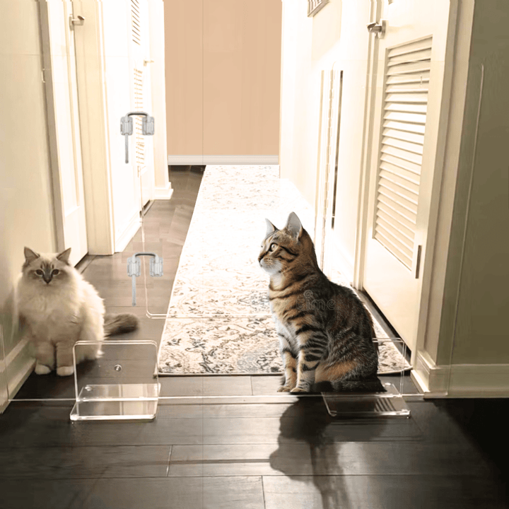 Hiddin Clear Acrylic Pet Gate with Door – Freestanding, 30 in High