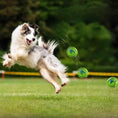 Gallery viewerに画像を読み込む, Interactive Chew Ball Rolls And Giggles Automatically For Dogs by Nai Pet Store
