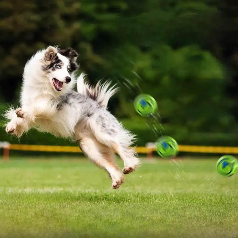 Interactive Chew Ball Rolls And Giggles Automatically For Dogs by Nai Pet Store