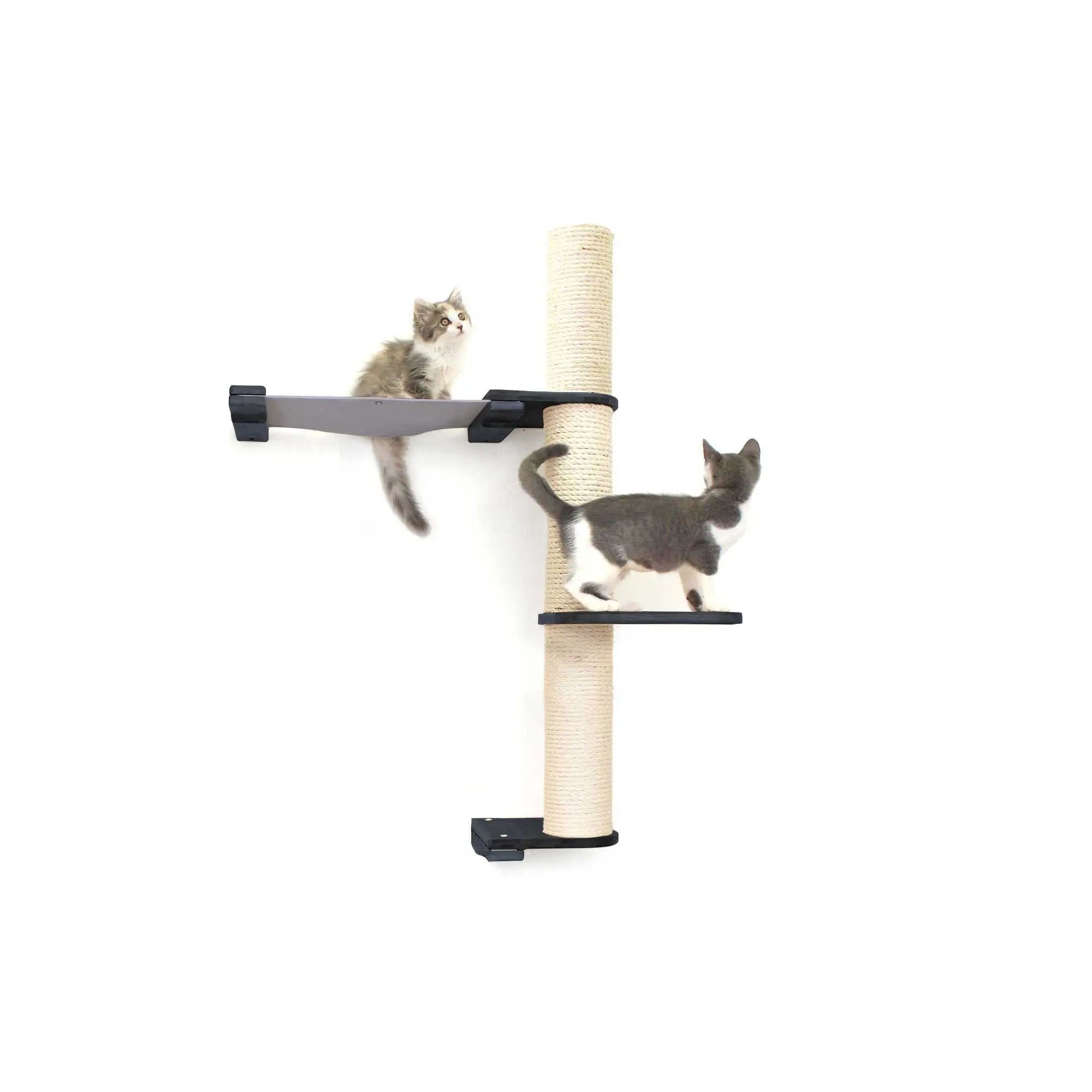 The Crow's Nest wall cat scratcher condo with beige sisal post, hammock perch, and two cats.